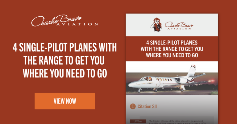 Single Pilot Planes Infographic-03